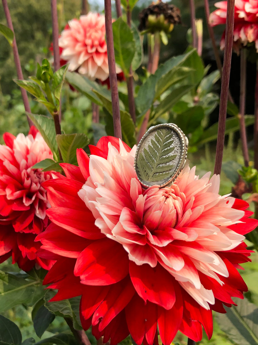 Fern Adjustable Ornate Large Oval Ring