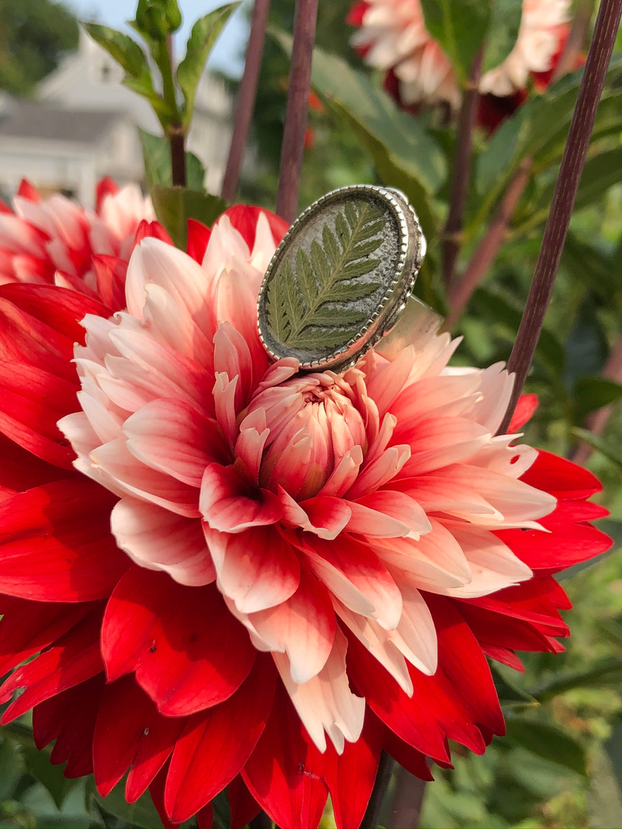 Fern Adjustable Ornate Large Oval Ring