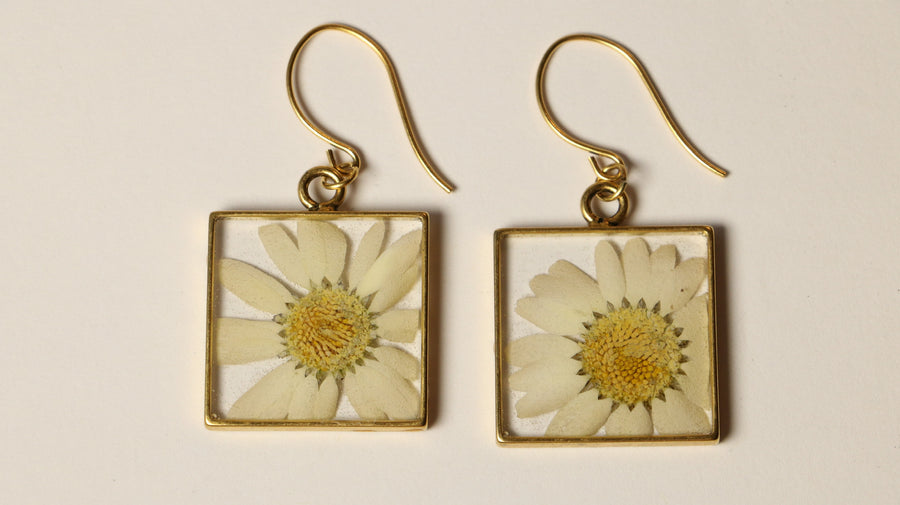 Daisy Square Earrings