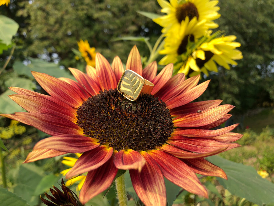 Fern Adjustable Square Ring