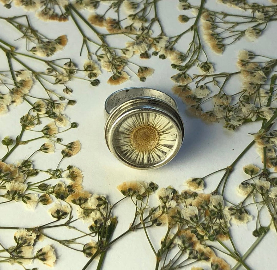 Fleabane Adjustable Traditional Circle Ring