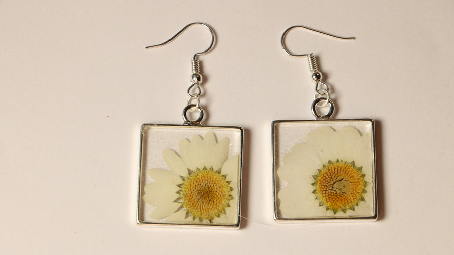 Daisy Square Earrings