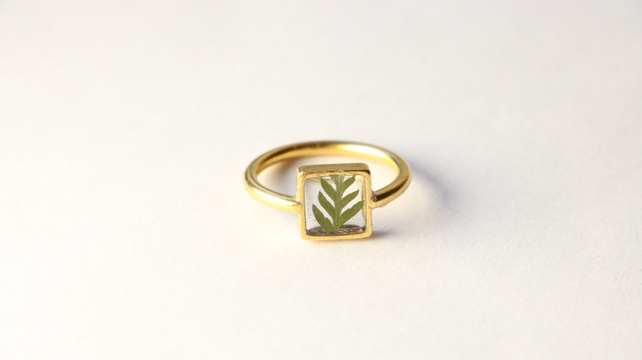 Fern Transparent Square Ring