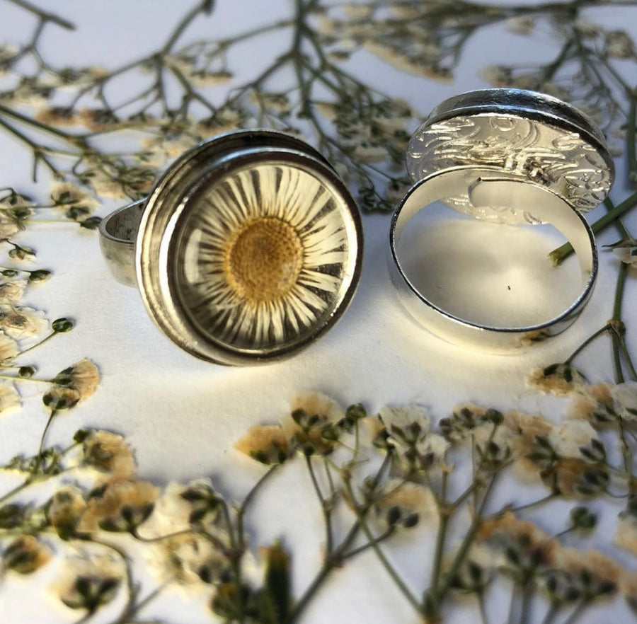 Fleabane Adjustable Traditional Circle Ring