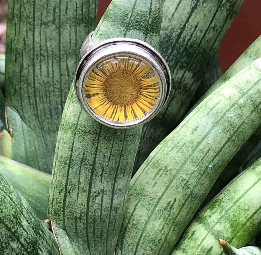 Fleabane Adjustable Traditional Circle Ring