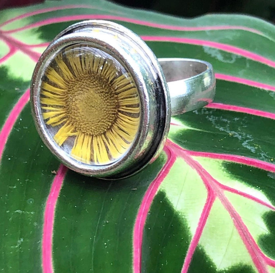 Fleabane Adjustable Traditional Circle Ring