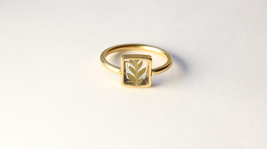 Fern Transparent Square Ring
