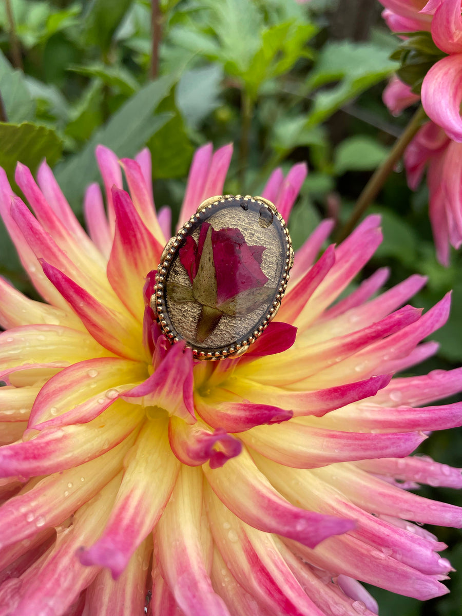 Rose Ornate Oval Adjustable Ring