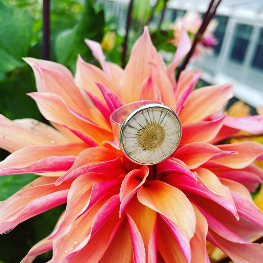 Fleabane Daisy Adjustable Ring