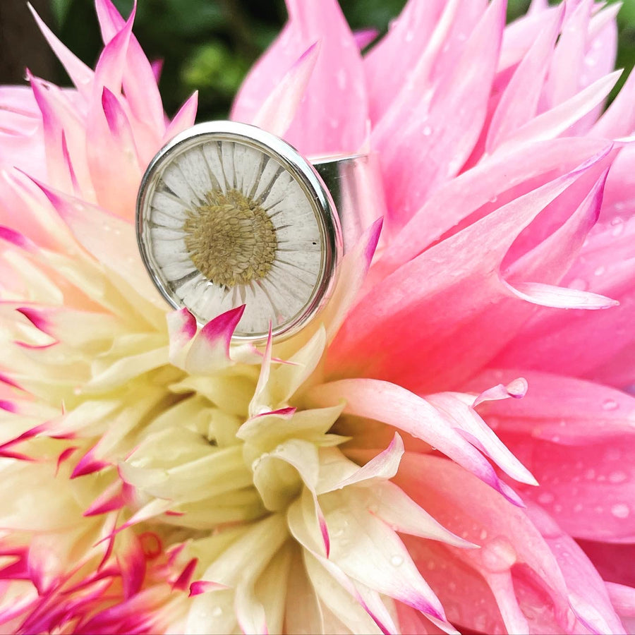 Fleabane Daisy Adjustable Ring