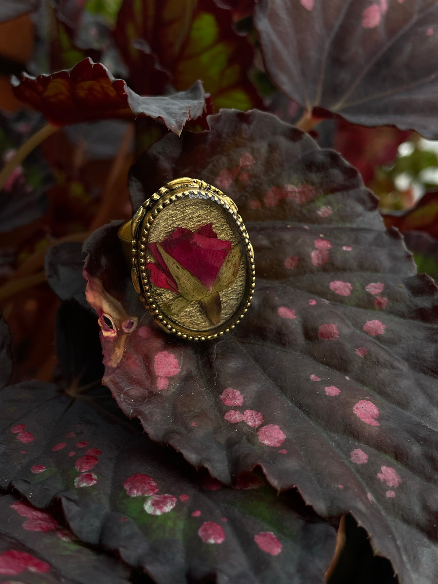 Rose Ornate Oval Adjustable Ring