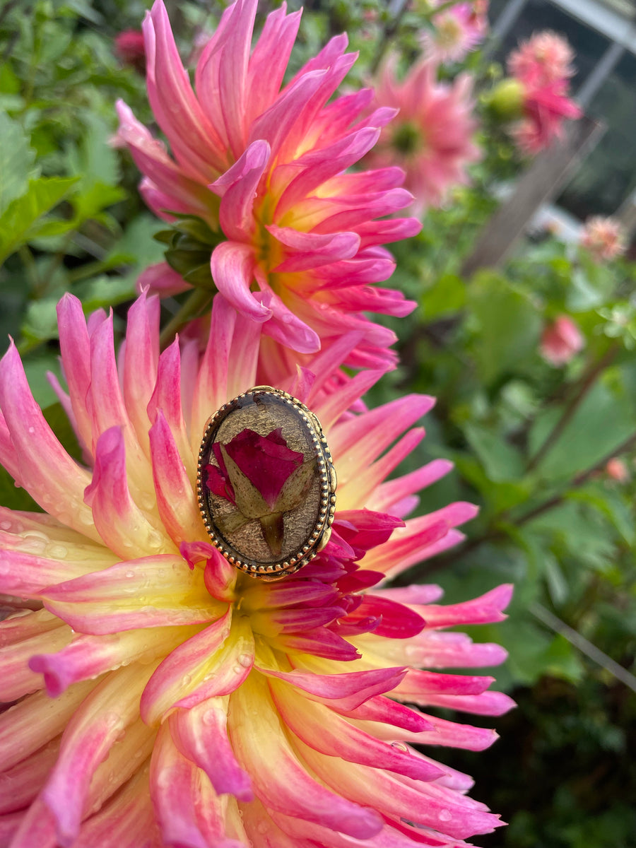 Rose Ornate Oval Adjustable Ring