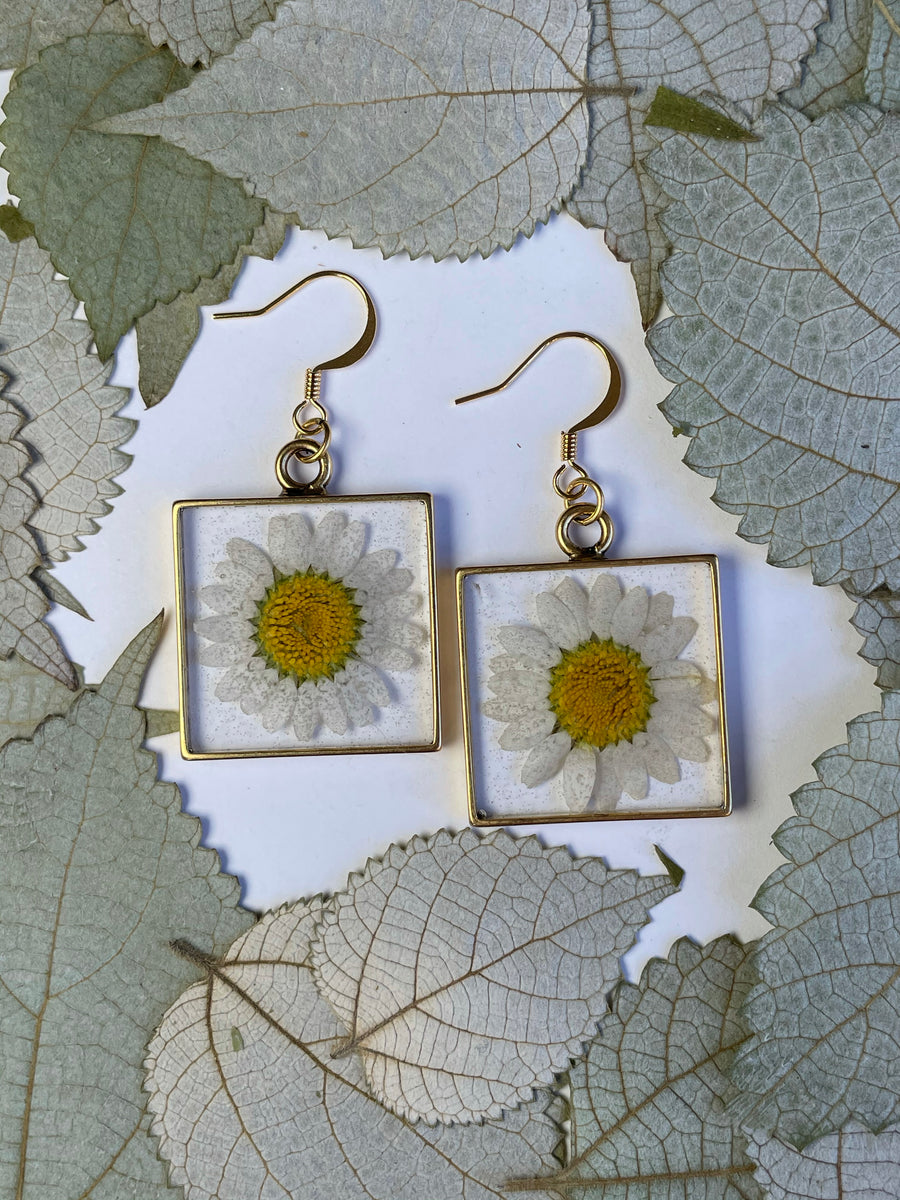 Daisy Square Earrings