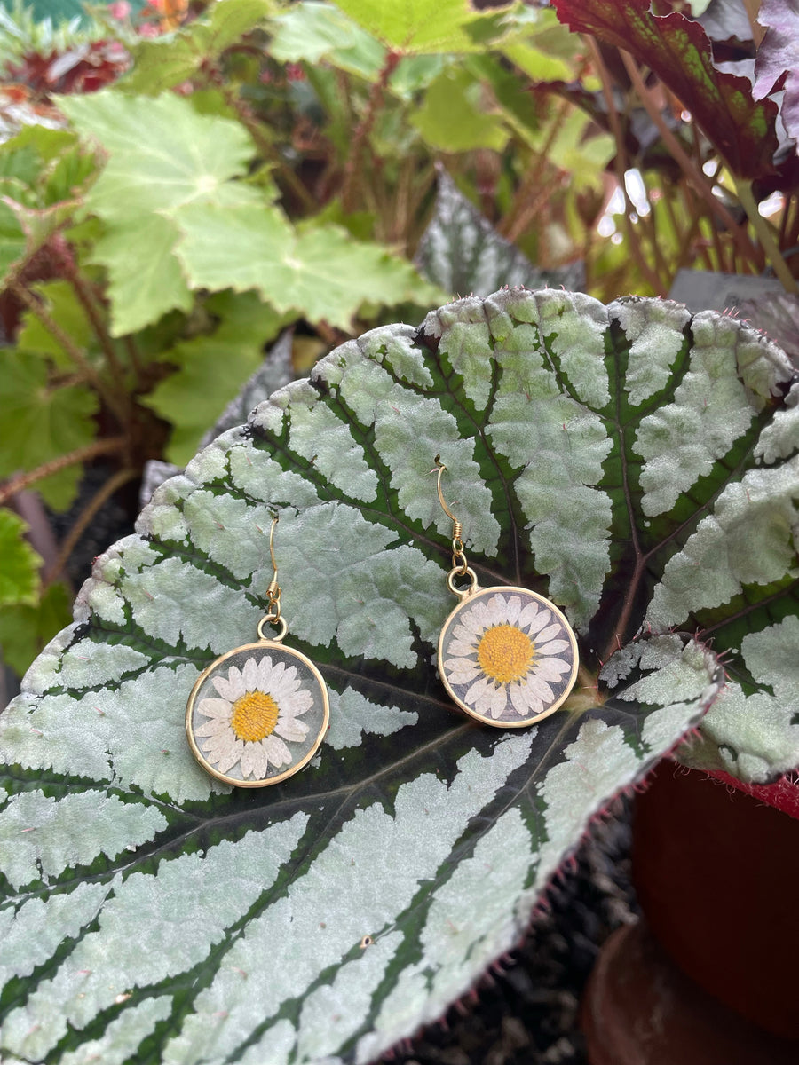 Daisy Hammered Circle Earrings