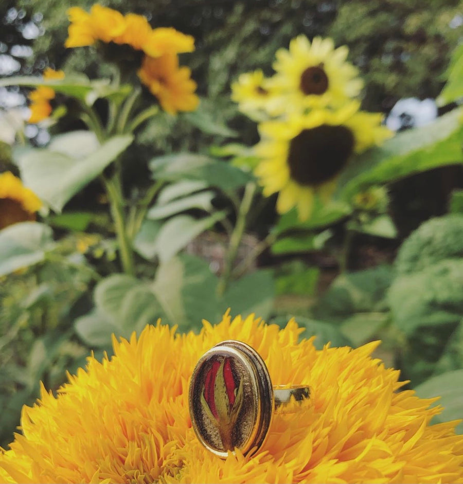 Rose Oval Adjustable Ring