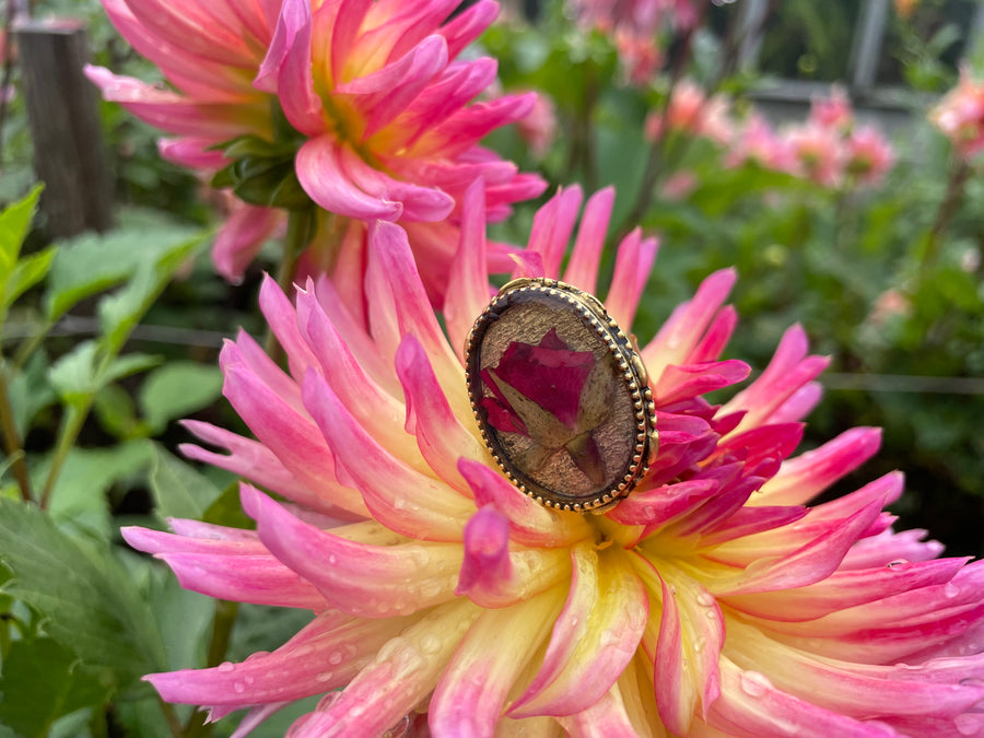 Rose Ornate Oval Adjustable Ring