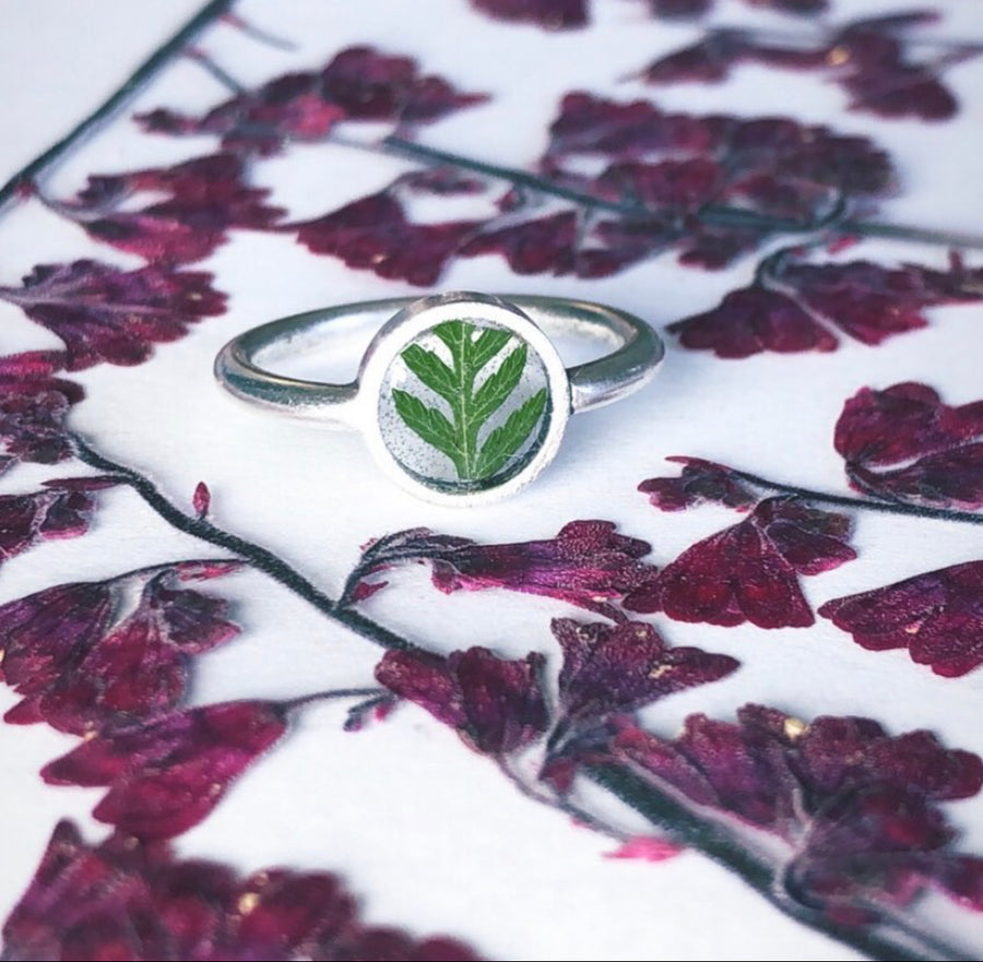 Fern Transparent Circle Ring