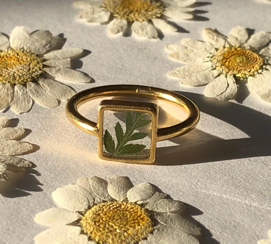 Fern Transparent Square Ring