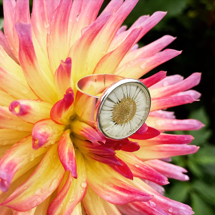 Fleabane Daisy Adjustable Ring