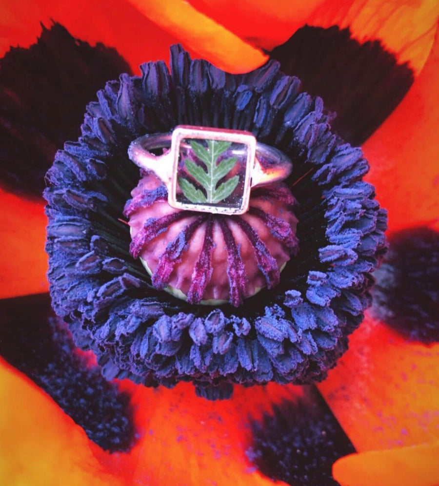 Fern Transparent Square Ring