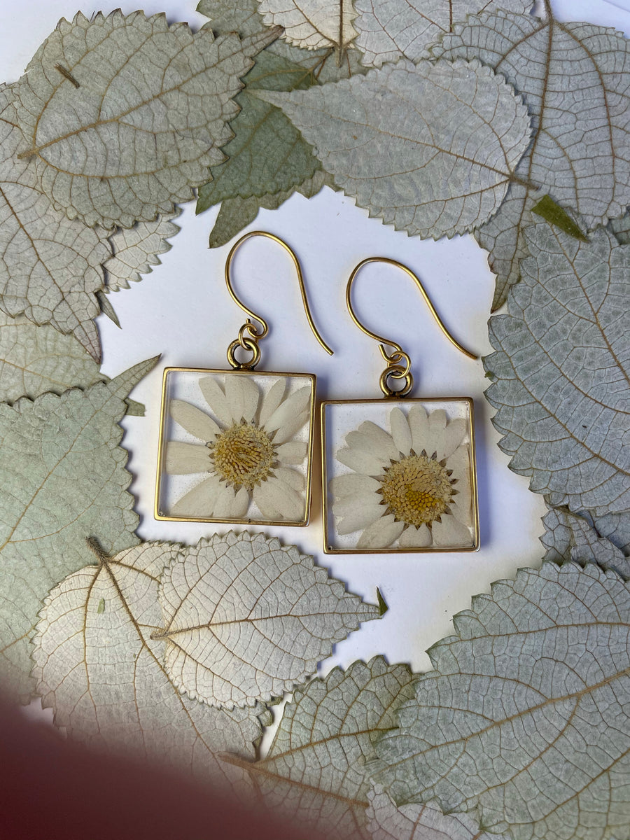 Daisy Square Earrings