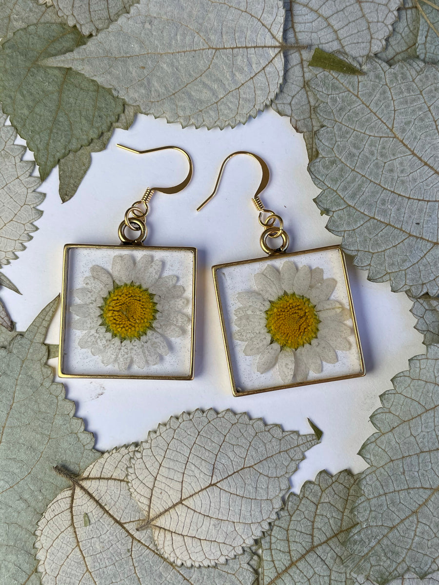 Daisy Square Earrings